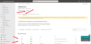 configuring-of-a-domain-dns-records