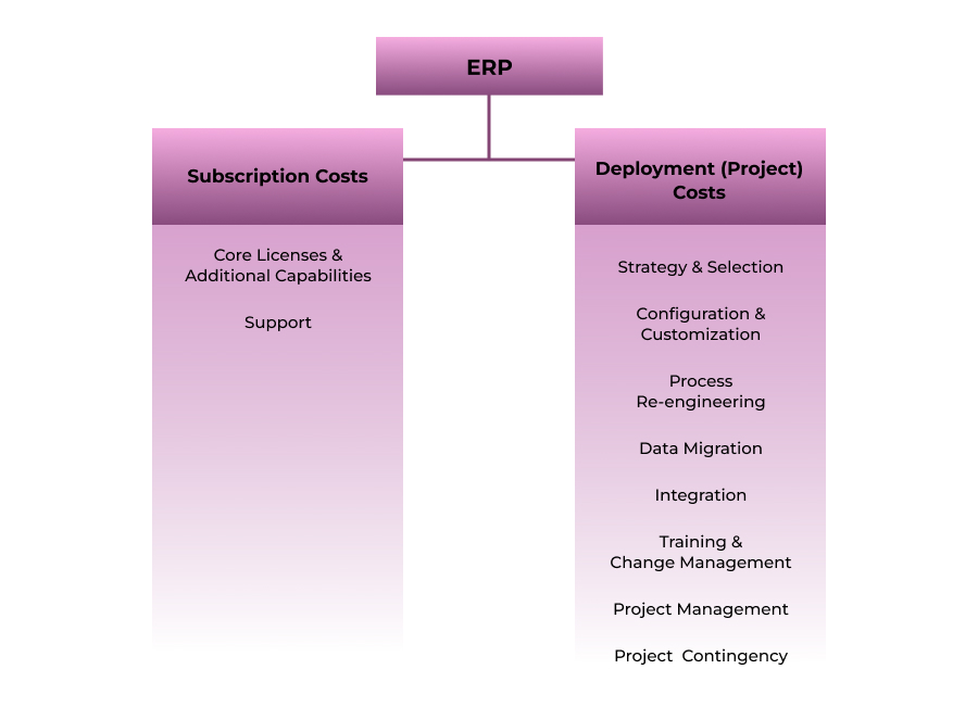 infographic with ERP costs broken down between subscription  and deployment