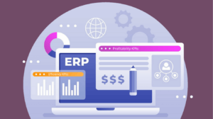 ERP KPI